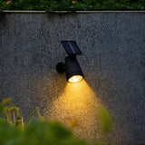 Projecteur de Jardin Solaire