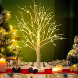 Lumière Arbre Bouleau Nordique