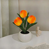 Lampe de Nuit Tulipe
