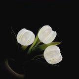 Lampe de Nuit Tulipe
