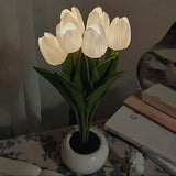 Lampe de Nuit Tulipe