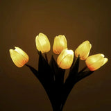 Lampe de Nuit Tulipe