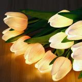 Lampe de Nuit Tulipe
