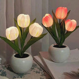 Lampe de Nuit Tulipe