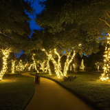 Guirlande Lumineuse Solaire
